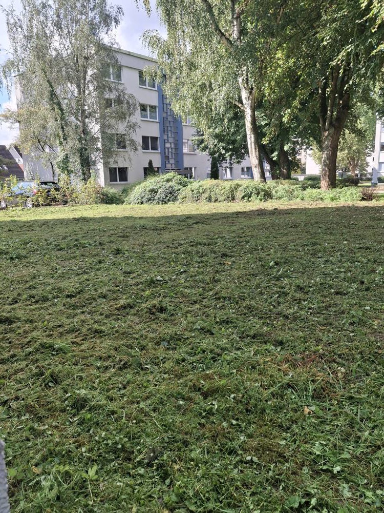 Nachher: Grundstück gemäht und geräumt
