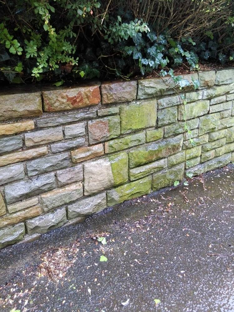 Vorher: Mauer mit Bewuchs