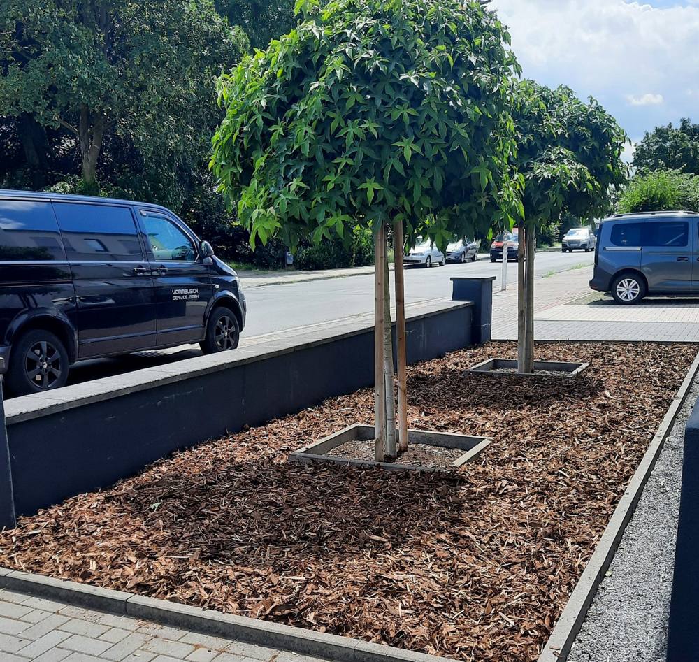 Nachher: gepflegtes Beet mit Rindenmulch